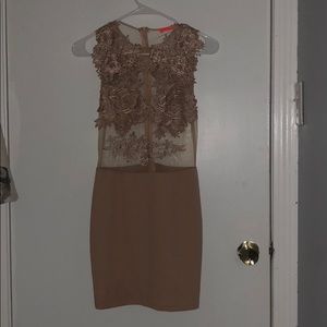 Sheer top bodycon dress